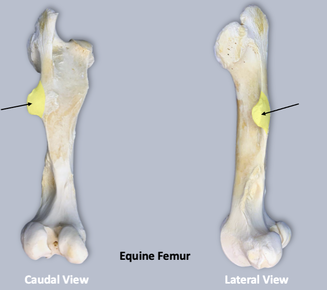 <p>what is yellow</p>