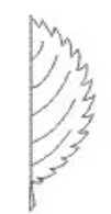 <p>margin</p>