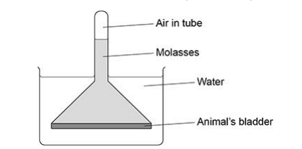 <p>A scientist used the apparatus in below figure to investigate osmosis. </p><p>Use your understanding of osmosis to explain why the air pressure in the tube increased. (3) </p>