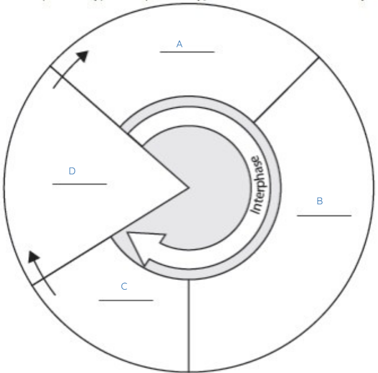 <p>What does D represent?</p>