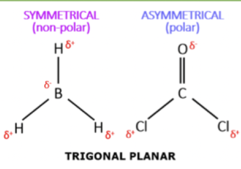 <p>asymmetrical dipoles; always v-shaped and trigonal pyramidal </p>