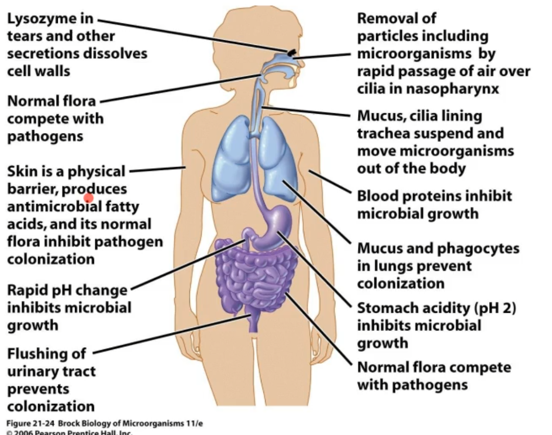 <p>what can this image show u?</p>