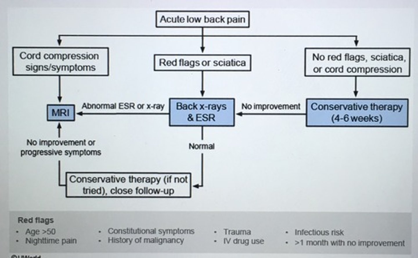 <p>- Age > 50</p><p>- Hx previous cancer</p><p>- Constitutional sxs (fever, unexplained weight loss)</p><p>- Nighttime pain causing sleep difficulty</p><p>- No response to previous therapy</p><p>- Neuro sxs</p>