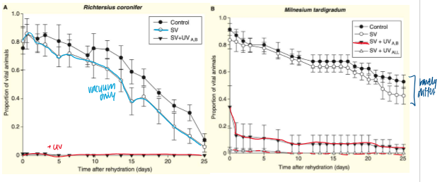 <p>desicated adults spent 10 days in space with 3 groups: space vacuum, SV and UV(a,b), and SV and UV(all)</p><ul><li><p>when they were all brought back to Earth and rehydrated in a lab, barely a difference between the control and SV in proportion of vital animals</p></li></ul><p></p>