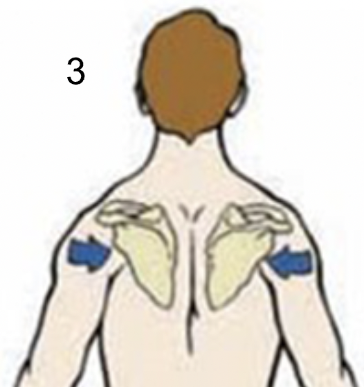 <p>Identify what type of position this is</p>
