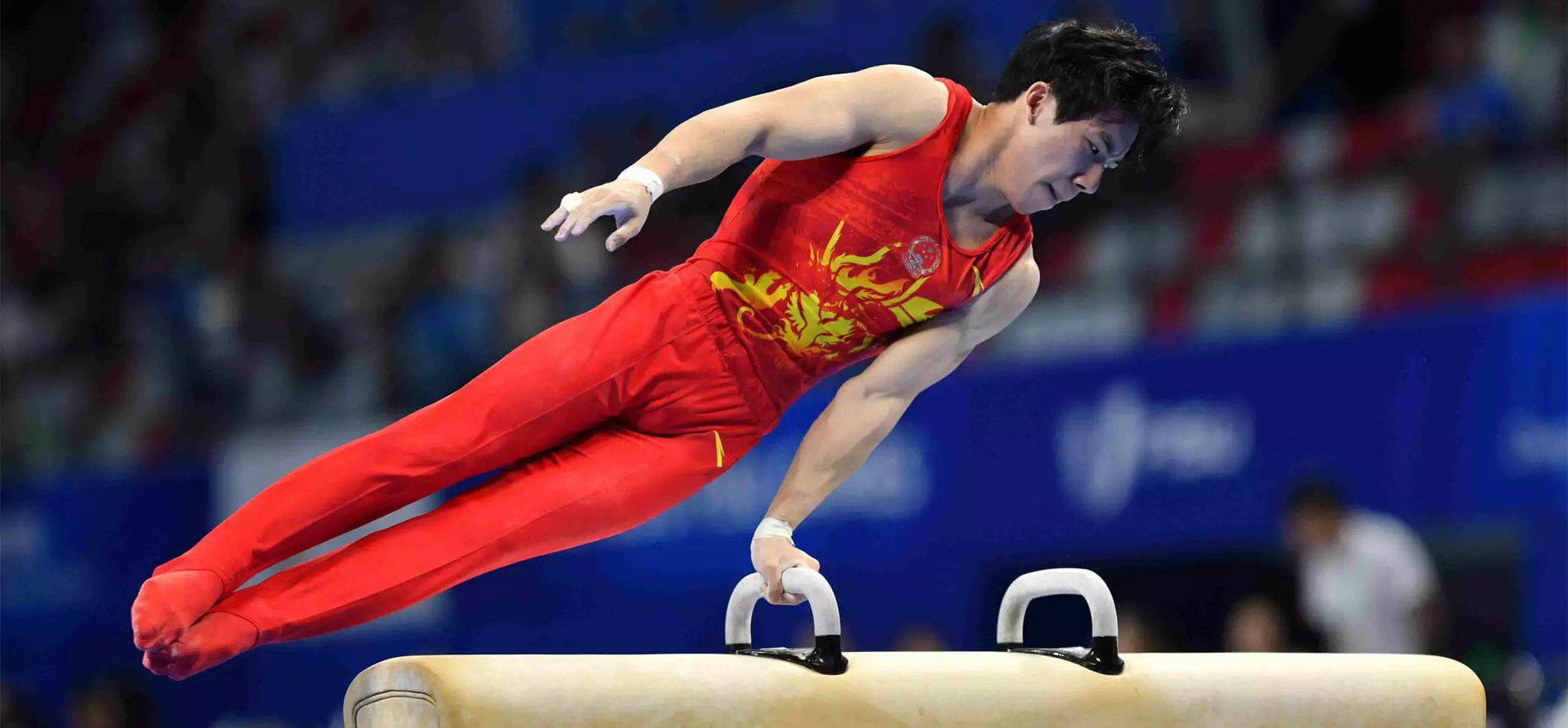 <p>Nous _____ de la gymnastique.</p>