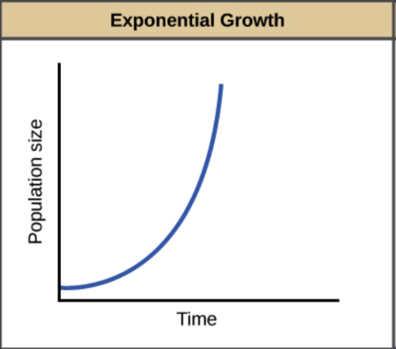 <p><span>Exponential growth occurs when there is unlimited resources in an ideal environment consisted of no competition. This takes the limits away from population growth. Initially, the growth will be slow as there is a shortage of reproducing individuals that may be widely dispersed. However, as the population increases the rate of growth similarly increases, resulting in the exponential curve (the J shape of the graph).</span></p>