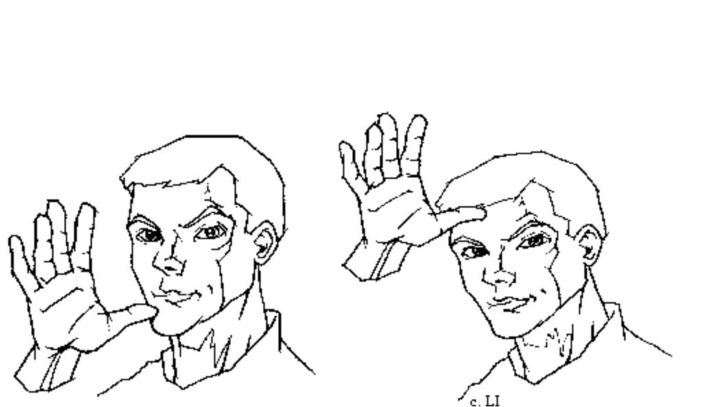 term image