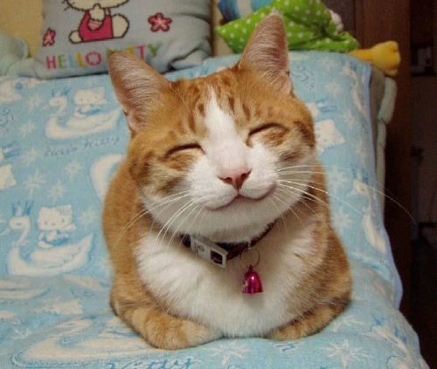 <p>wéixiào - mỉm cười/nụ cười (đgt,dt)</p><p>哈哈大笑 cười lớn 傻笑 cười ngốc nghếch</p><p>奸(jiān)笑(xiào) cười nham hiểm 冷(lěnɡ)笑(xiào) cười nhạt</p>