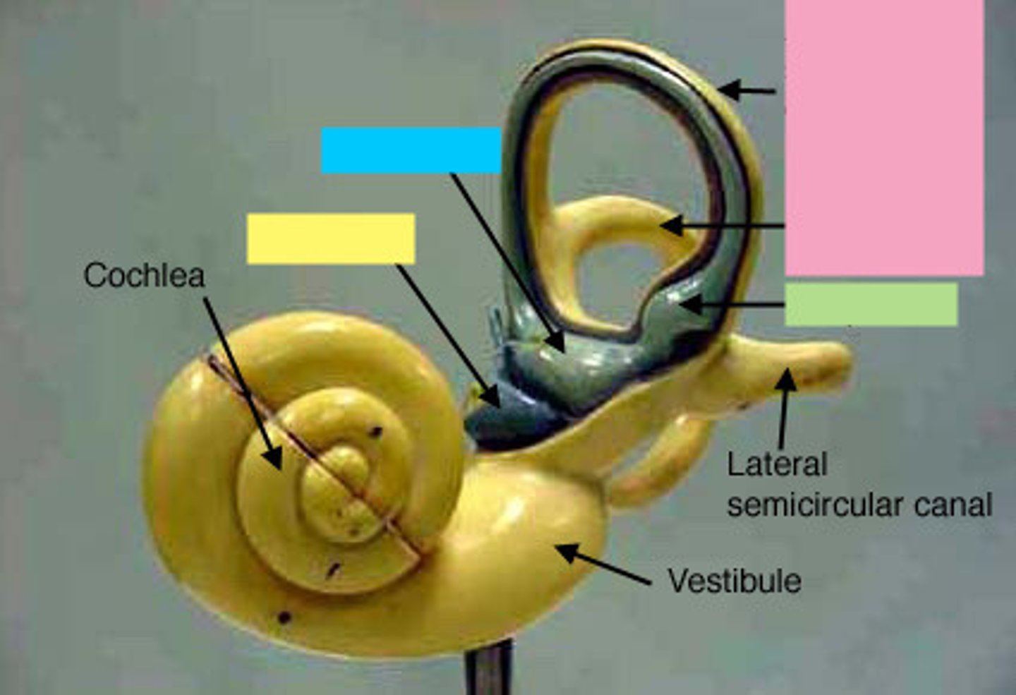 <p>what is the yellow box pointing to?</p>