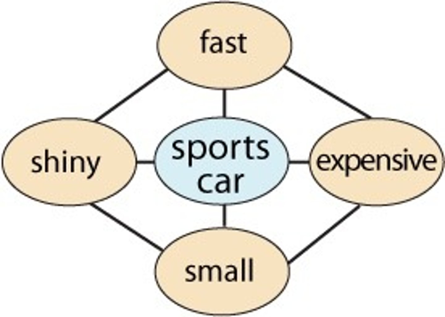 <p>Structure of preconcieved ideas, a framework that represents aspects of the world and a person's experiences. A system to organize new information to better understand the world around us and assist recall. What we already know will influence the outcome of how we process information</p>