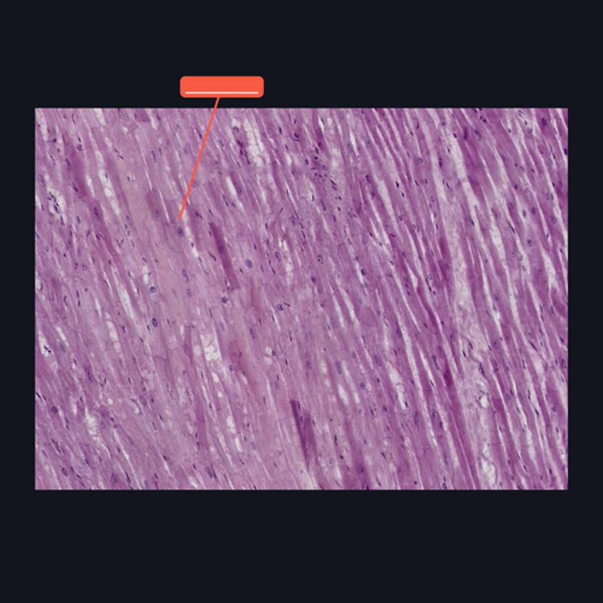 <p>Identify the structure</p>