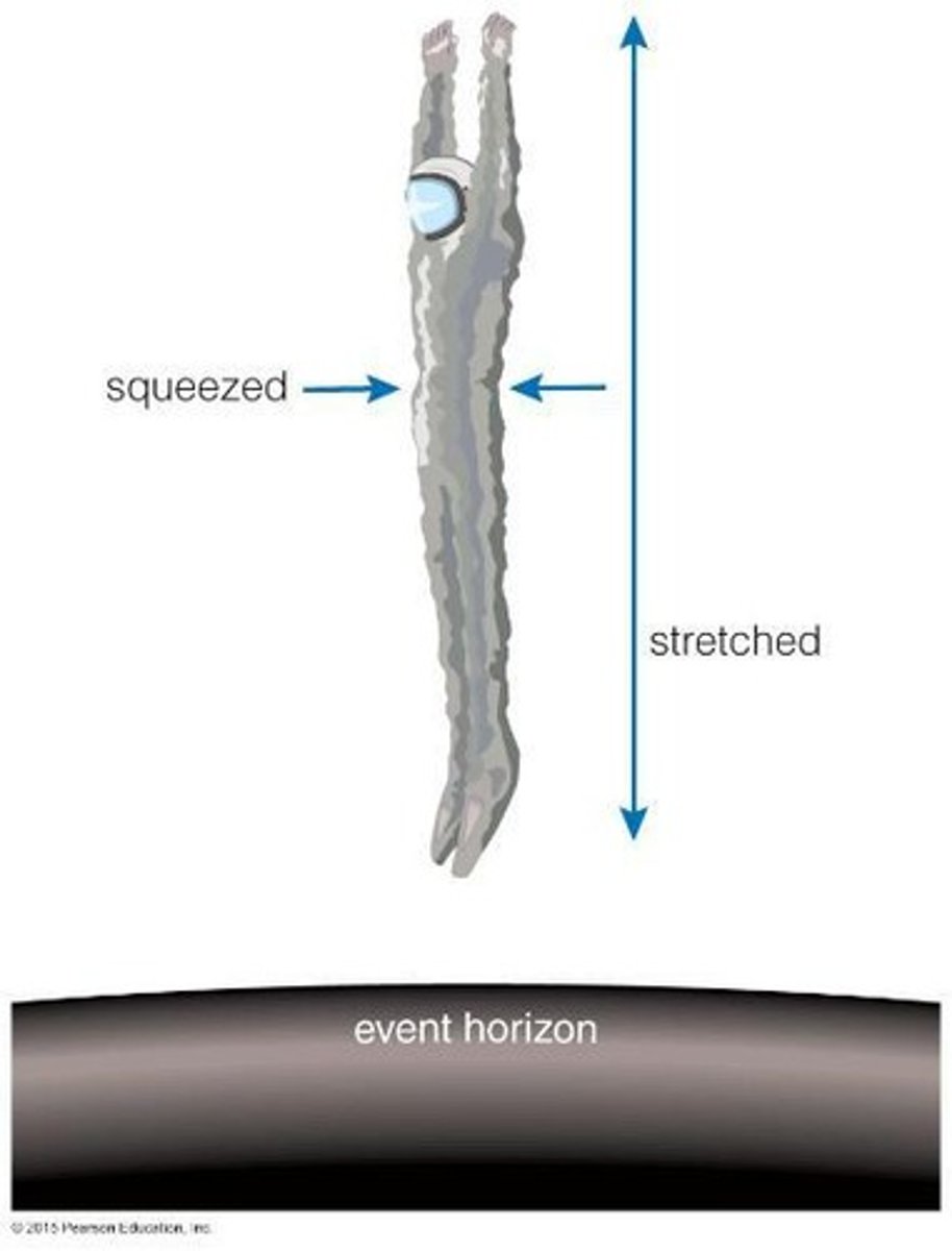 <p>Spaghettification is the stretching and squeezing of objects due to extreme tidal forces near a black hole's event horizon.</p>