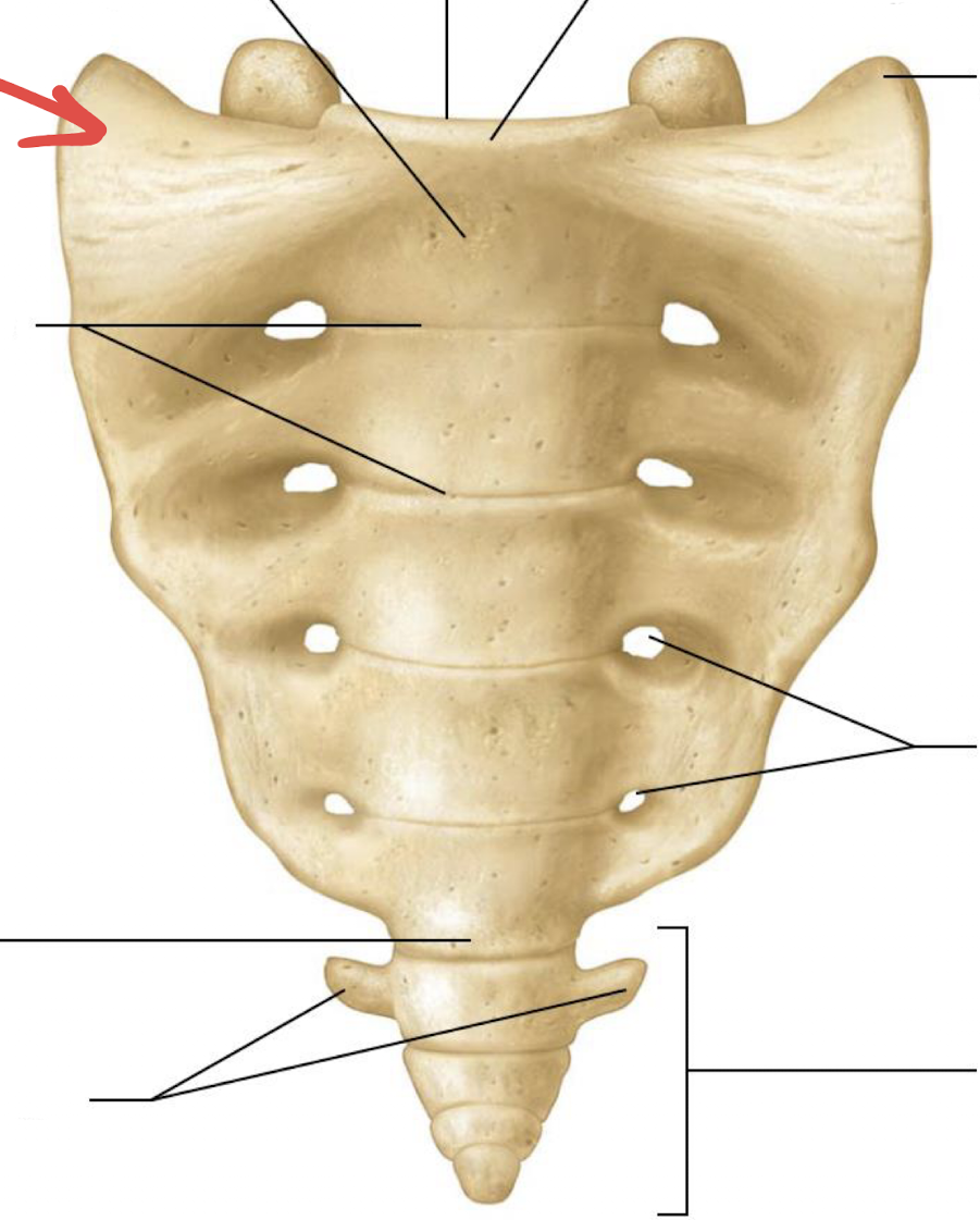 <p>what is this?</p>