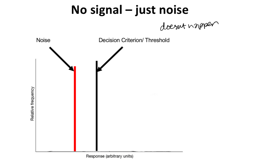 <p>Explain the graph</p>