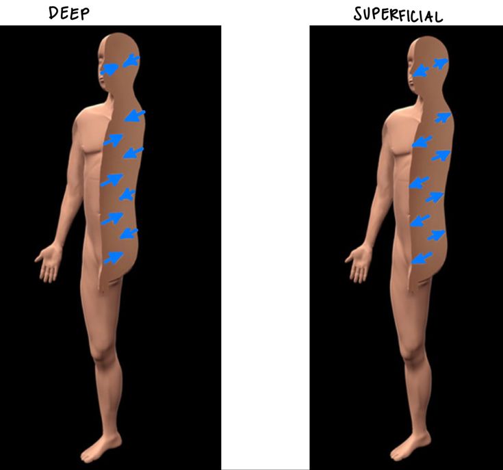 <p>a postion farther from the surface of the body (ex: the brain is deep to the skull)</p>