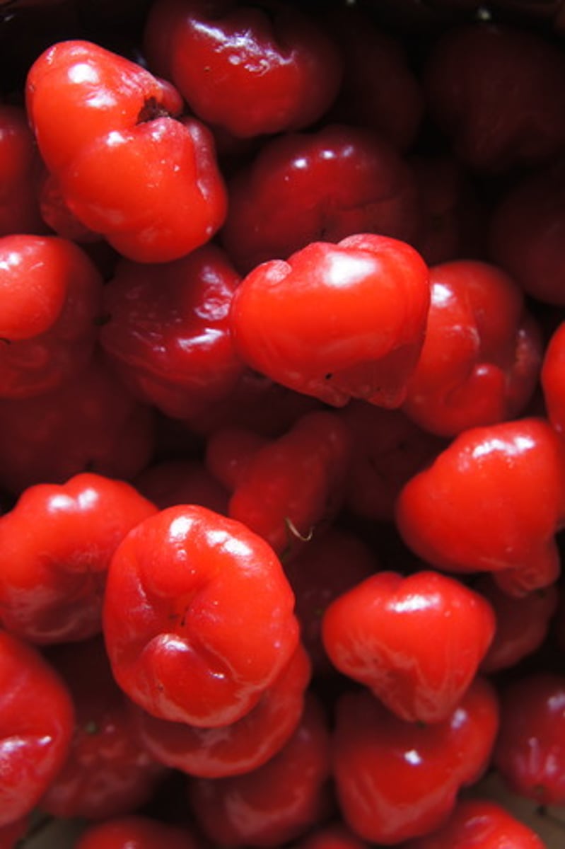 <p>sour in taste or manner</p>