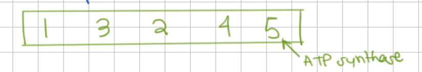 knowt flashcard image