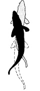 <p>Used to navigate complex environments</p>