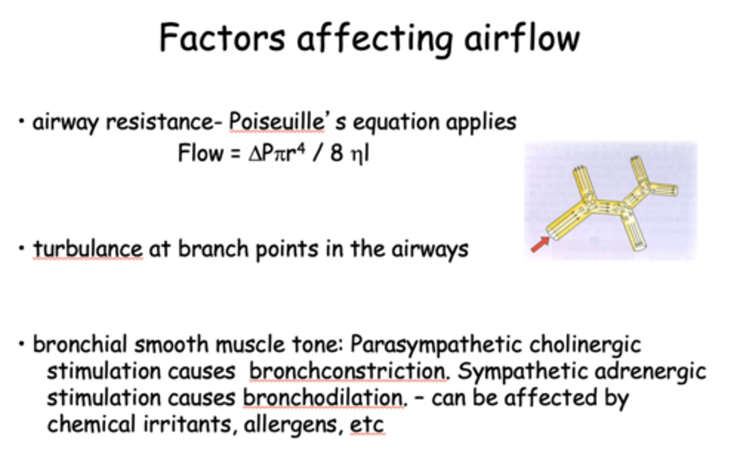 <p>bronchodilation</p>