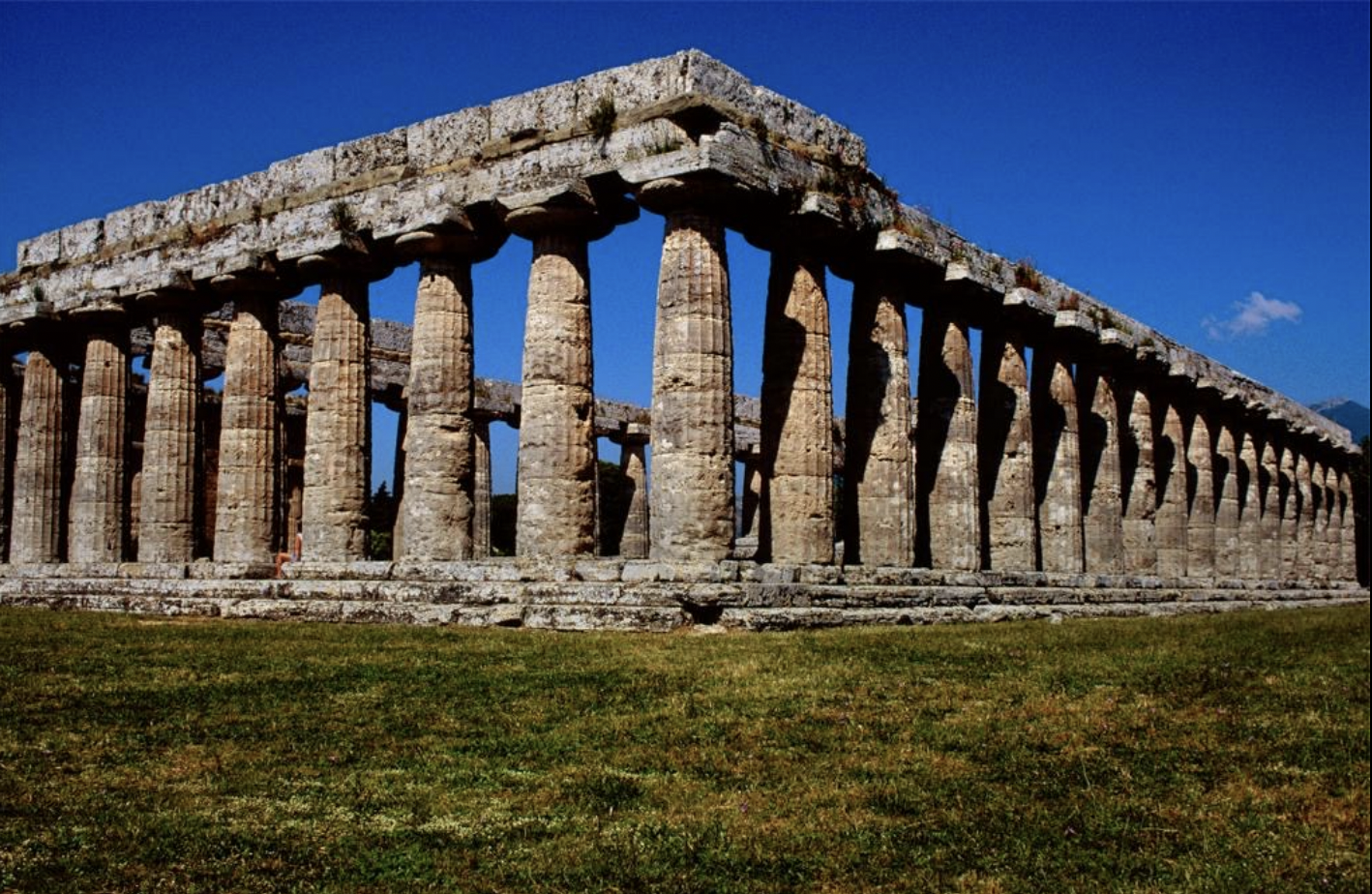<p>Slight swelling of the column shafts</p>