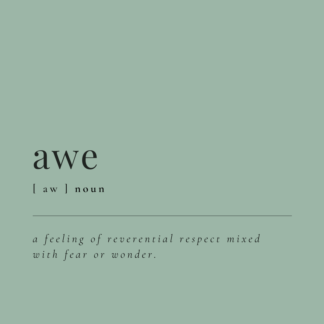 <p><span style="background-color: transparent;">to be in awe of</span></p>
