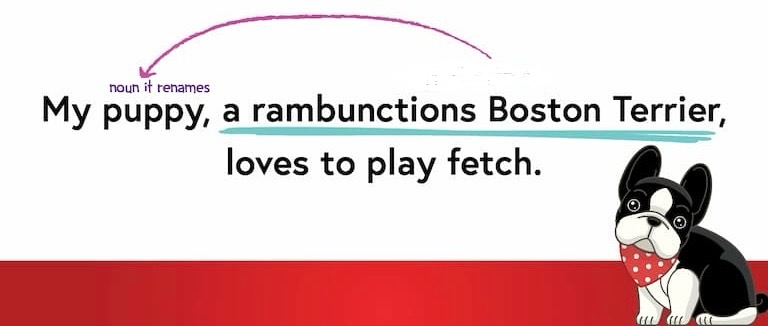 <p>noun or phrase that redefines or expands upon the noun or pronoun that comes before it.</p>