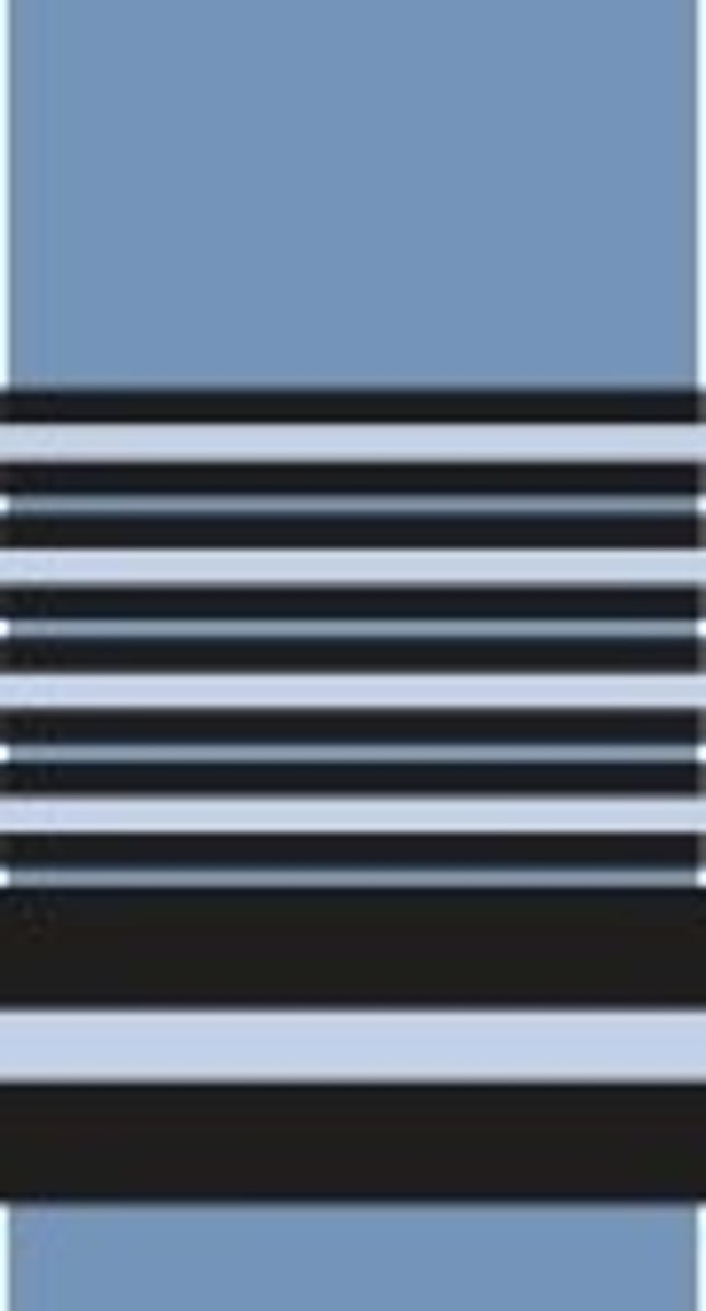 <p>Marshal of the Royal Air Force</p>
