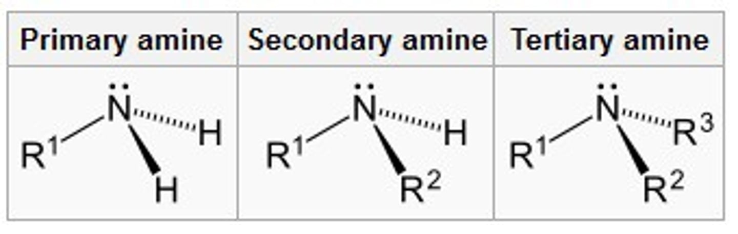 <p>C to N</p>