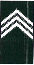 <p>SGT</p>