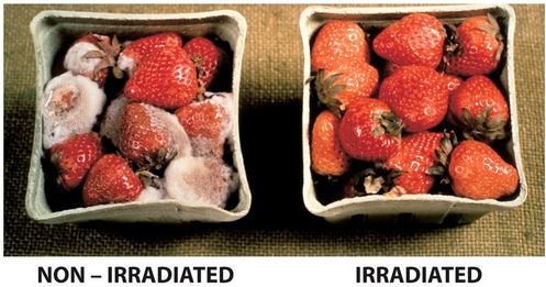 By exposing fruit to gamma rays which destroy any bacteria on the fruit but do not affect the fruit itself