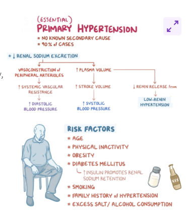 <p>primary hypertension is the most common type</p>