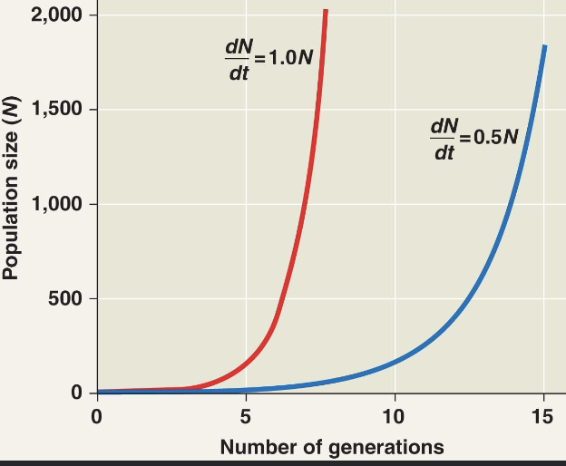 <p>exponential population growth</p>