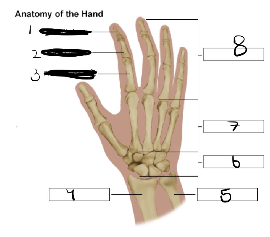 <p>number 2 </p>