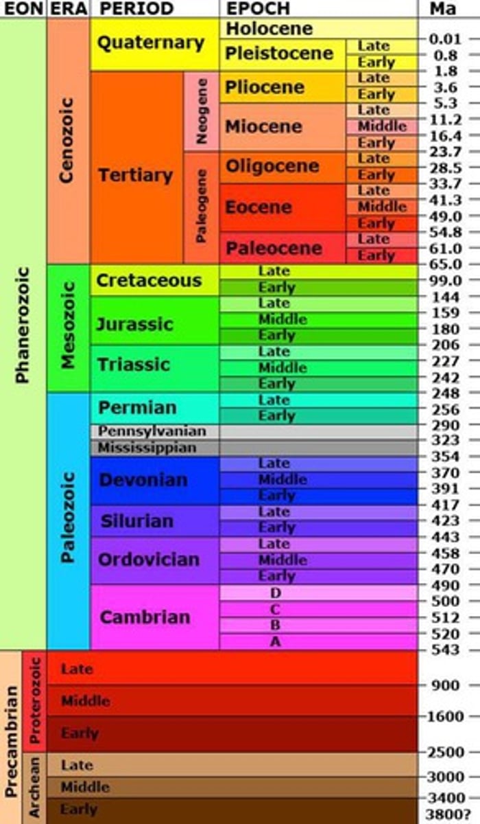 <p>the longest division of time in the geologic time scale<br><br>división temporal más larga en la escala temporal geológica</p>