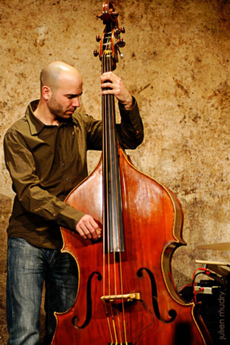 <p>bass, double bass</p>