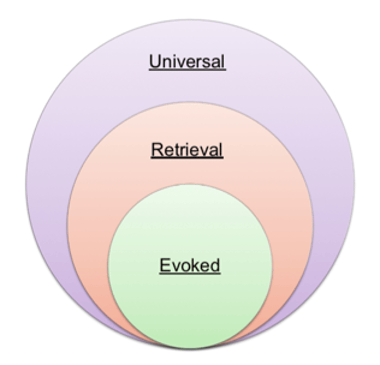 <p>consumer's mind organizes and categorizes alternatives to aid his or her decision process</p><p>-universal sets, retrieval sets, evoked sets</p>