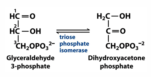 <p>explain how this reaction relates to catalysis</p>