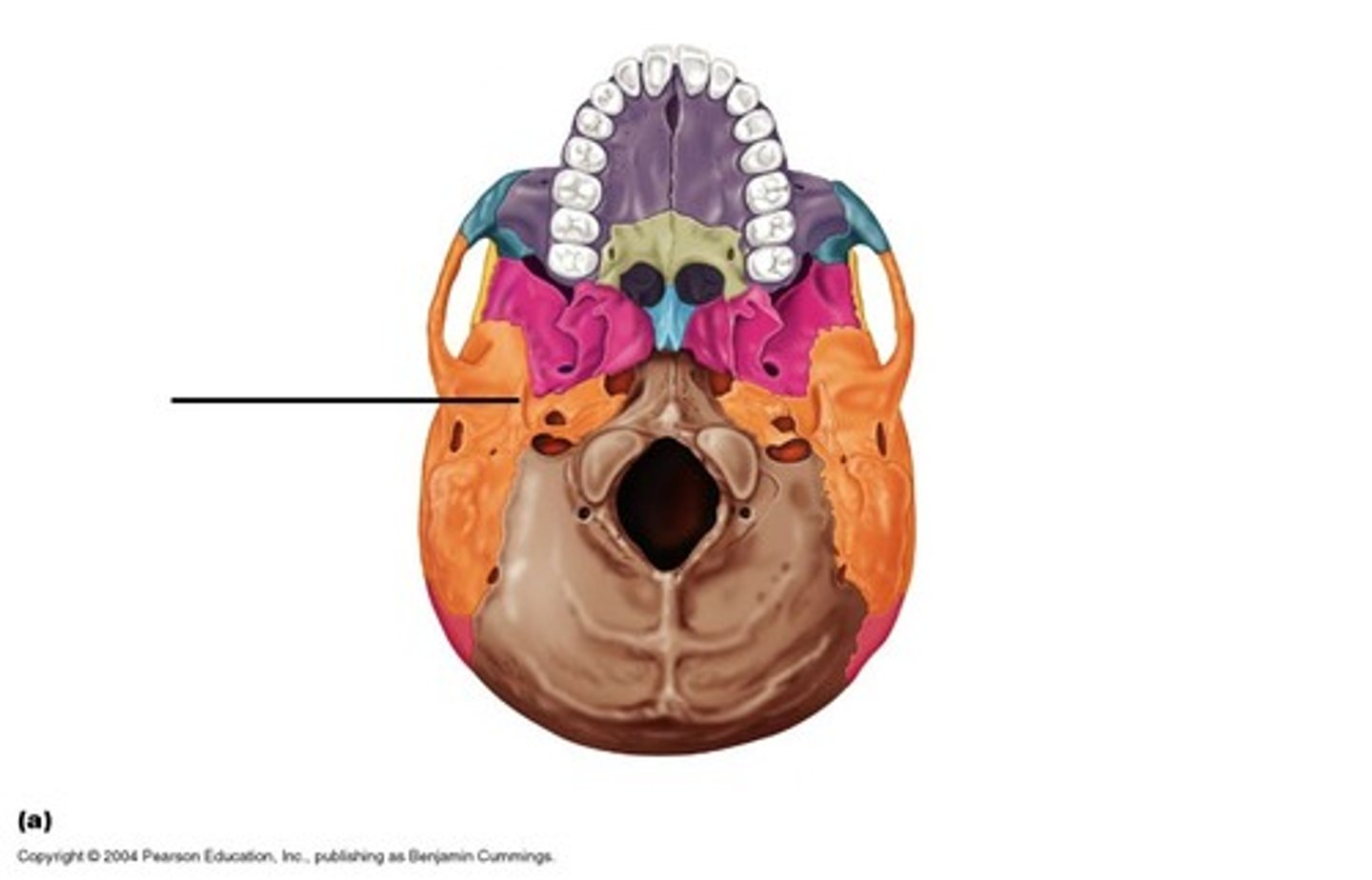 knowt flashcard image