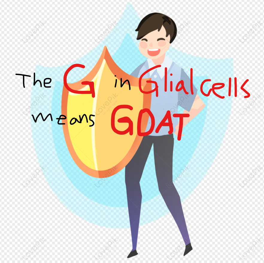 cells in nervous system that support, nourish, protect neurons; may also play role in learning + thinking (104)