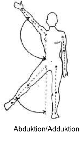 <p>Heranführen, zum Körper hin</p>