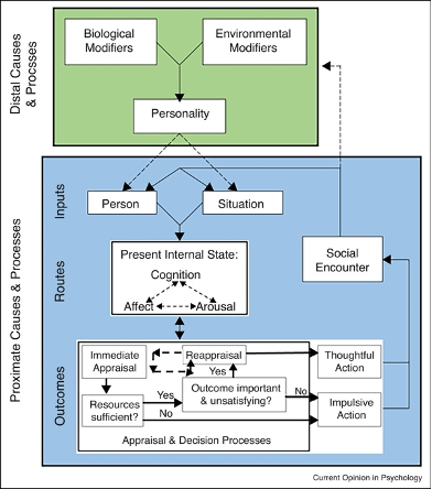 <p>General aggressive model</p><ul><li><p>seeks to explain elements of an ongoing social interaction that influences the occurrences of aggression</p></li><li><p>Distal and proximate processes.</p></li></ul><p>what are at play in a social encounter that may or may not interact with social violence</p><p>Distal processes are existing</p><p>proximate- Currently going on in the social encounter and transaction.&nbsp;</p>