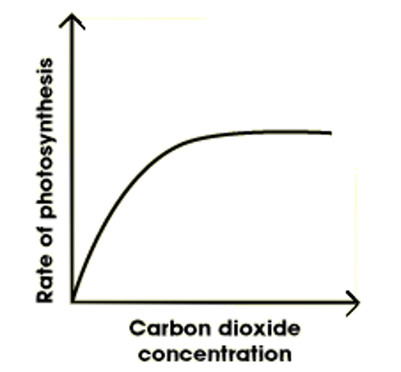 <p>Photosynthesis rate increases and then plateaus due to another limiting factor such as temperature or light intensity</p>