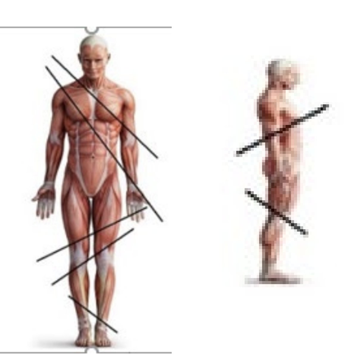 <p>any plane that is any type of angle other than horizontal or vertical</p><p>pass through a body part at any angle between the previous three planes</p><p>Btwn 0-90 degrees</p><p>means something is not parallel or a right angle. OBL is ODD angles</p>