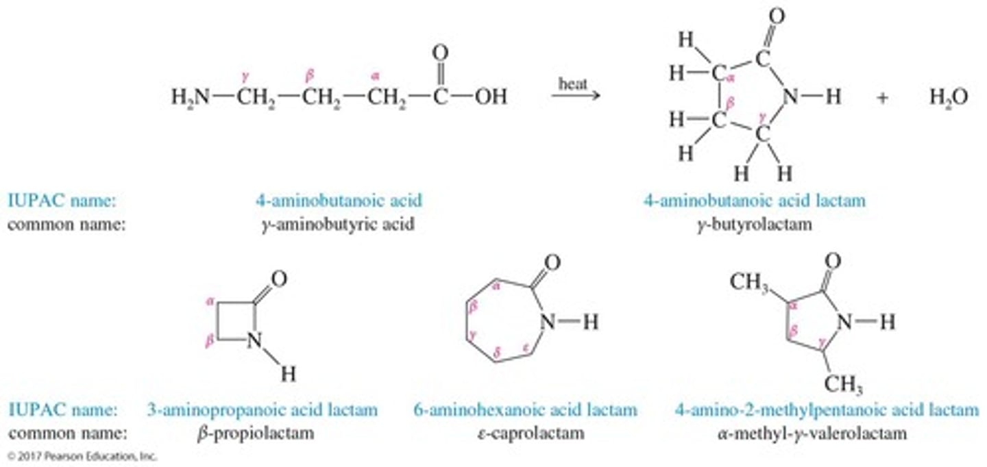 <p>Cyclic amides, named by adding 'lactam' to the end of the IUPAC name of the parent acid.</p>
