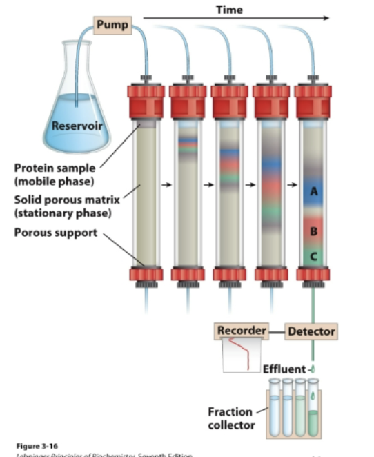 <p>Separation of components due to their different</p><p>affinities towards two distinct phases: a mobile phase</p><p>and a stationary phase</p><p>• Proteins with a lower affinity for the solid phase will</p><p>wash off first; proteins with higher affinity will retain on</p><p>the column longer and wash off later.</p><p></p>
