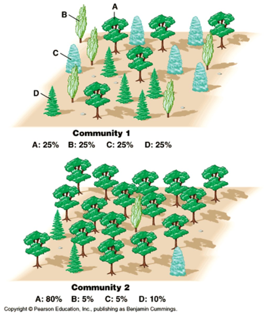 <p><strong>Number</strong> of <strong>species</strong> found in an ecosystem. </p><p>For Example- 3 pine trees and 4 maple trees. </p>