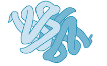 <p>association of 2 or more polypeptides, found only in some proteins </p><p>some proteins don’t get to this level</p><p>all 4 levels of a protein’s structure determine the protein’s function</p>