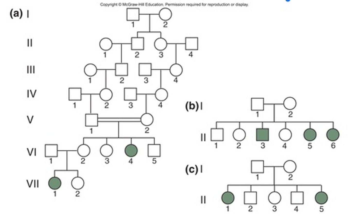 <p>rare recessive trait</p>