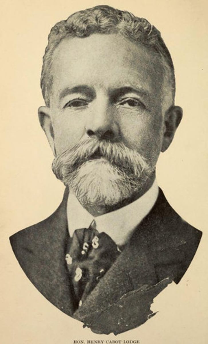 <p>Henry Cabot Lodge was a Republican who disagreed with the Versailles Treaty, and who was the chairman of the Senate Foreign Relations Committee. He mostly disagreed with the section that called for the League to protect a member who was being threatened.</p>